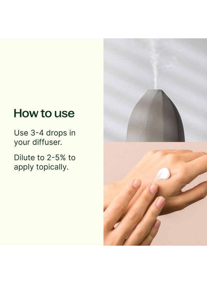 Plant Therapy - Tea Tree Essential Oil 100% Pure, Undiluted, Natural Aromatherapy, Therapeutic Grade 100 Ml (3.3 Oz) - Image 1