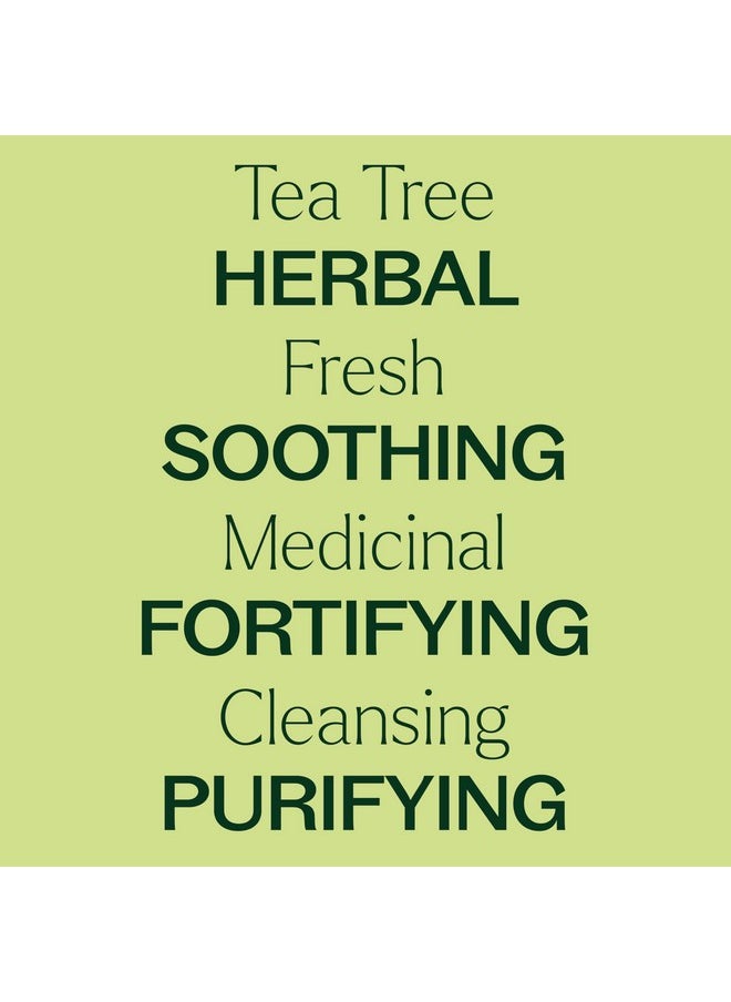 Plant Therapy - Tea Tree Essential Oil 100% Pure, Undiluted, Natural Aromatherapy, Therapeutic Grade 100 Ml (3.3 Oz) - Image 1