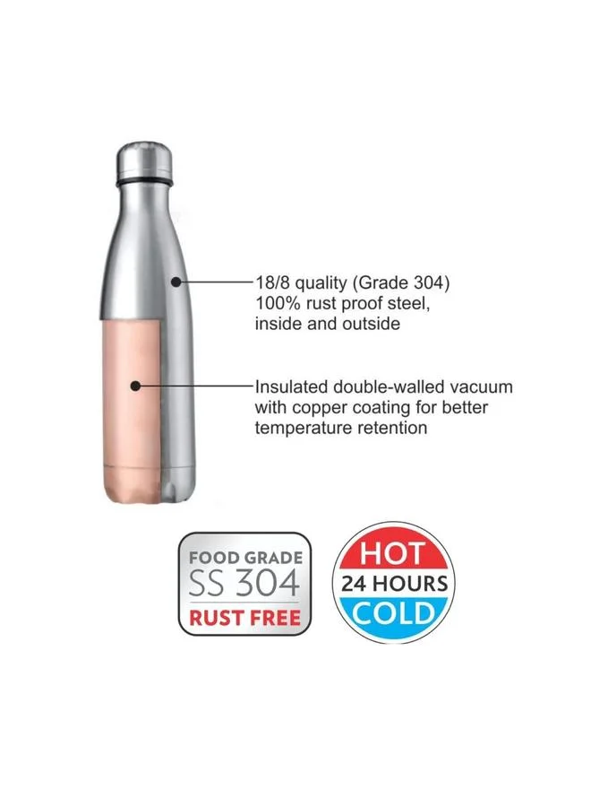 BOROSIL Vacuum Bolt Bottle Stainless Steel 500ml