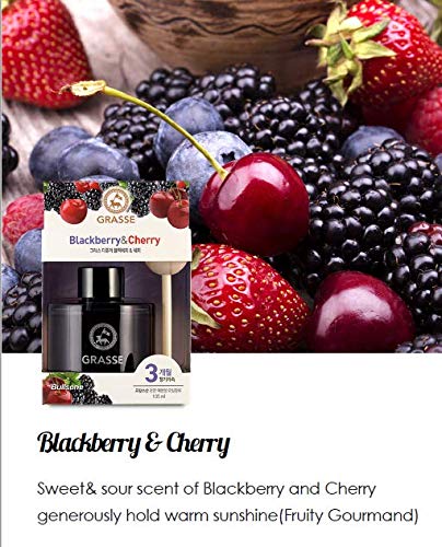 Bullsone Grasse Diffuser, Natural Car Air Fresheners, Luxury Car Perfume - Black Berry & Cherry Scent (2 Pack) - Image 2