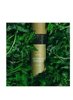 I'M FROM Mugwort Essence 5.4 Fl Oz 100% Vegan Mugwort Extract Soothe Sensitive and Irritated Skin Redness Relief Refreshing Korean Hydrating toner - pzsku/Z51CC18D584C33ECFCA55Z/45/_/1740313810/96747666-c4e4-4355-887c-34caf714fc5b