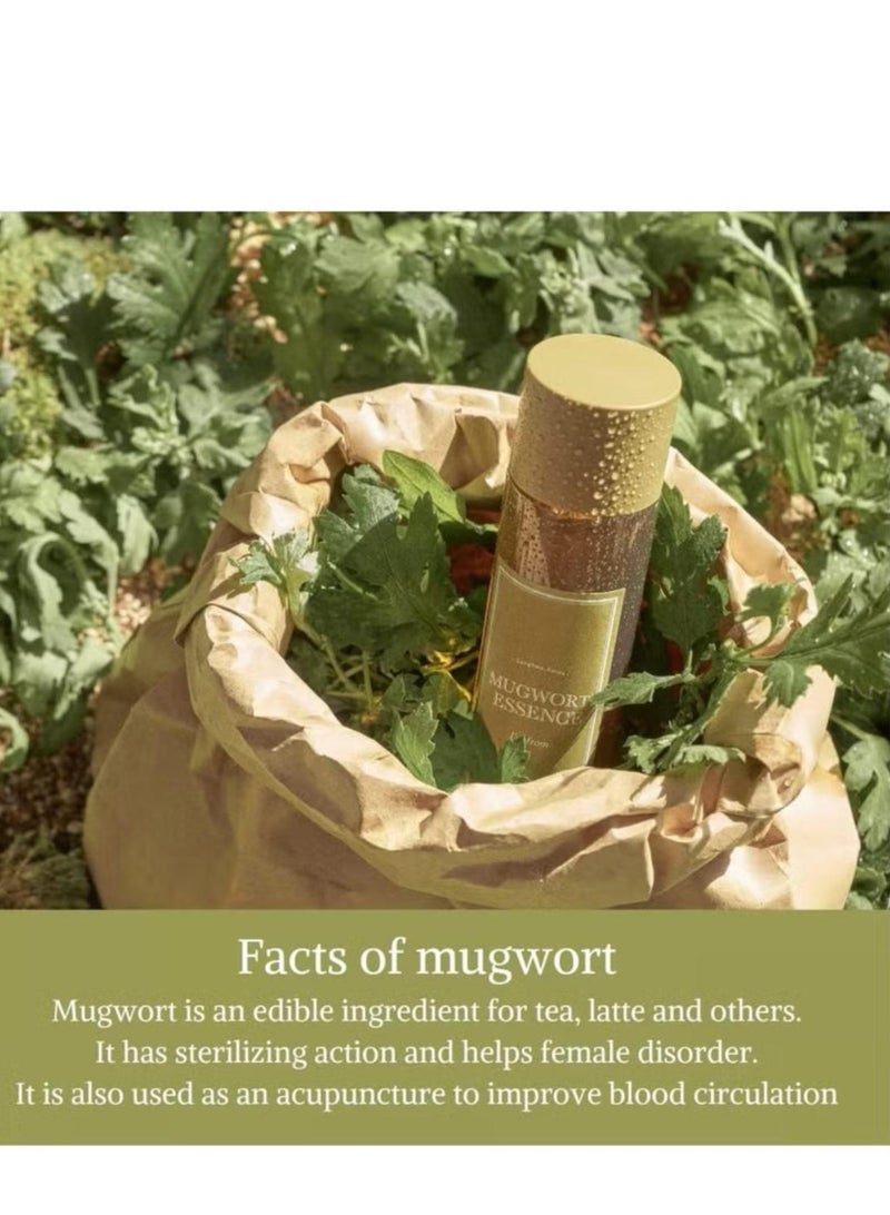 I'M FROM Mugwort Essence 5.4 Fl Oz 100% Vegan Mugwort Extract Soothe Sensitive and Irritated Skin Redness Relief Refreshing Korean Hydrating toner - Image 4