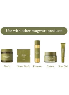 I'M FROM Mugwort Essence 5.4 Fl Oz 100% Vegan Mugwort Extract Soothe Sensitive and Irritated Skin Redness Relief Refreshing Korean Hydrating toner - pzsku/Z51CC18D584C33ECFCA55Z/45/_/1740313921/ff1dea20-9f4b-480f-a4db-f7a38a46701b