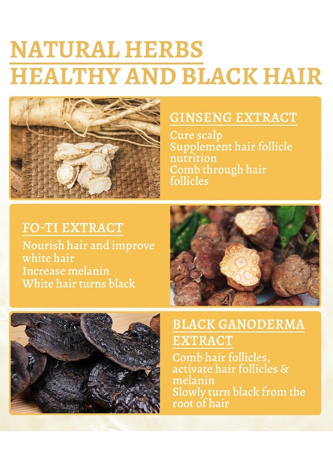 ساوث مون غانوديرما نيوترينت - له تأثير مكمل لبصيلات الشعر وإصلاح تلف الشعر وتنشيط بصيلات الشعر والميلانين والحصول على شعر أسود لامع 30 مل - Image 5