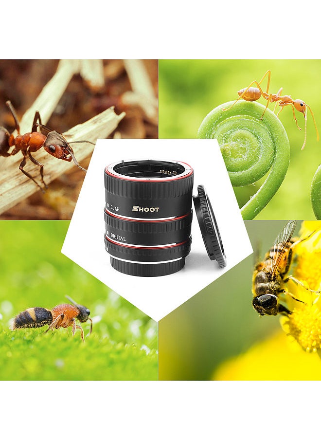 Auto Focus AF Macro Extension Tube Adapter Ring Set 13mm 21m 31mm Replacement for Canon EF/EF-S Lens Replacement