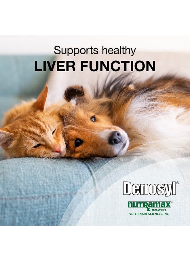 Nutramax Laboratories Nutramax Denosyl Liver and Brain Health Supplement for Small Dogs and Cats, With S-Adenosylmethionine (SAMe), 30 Tablets  - Image 2