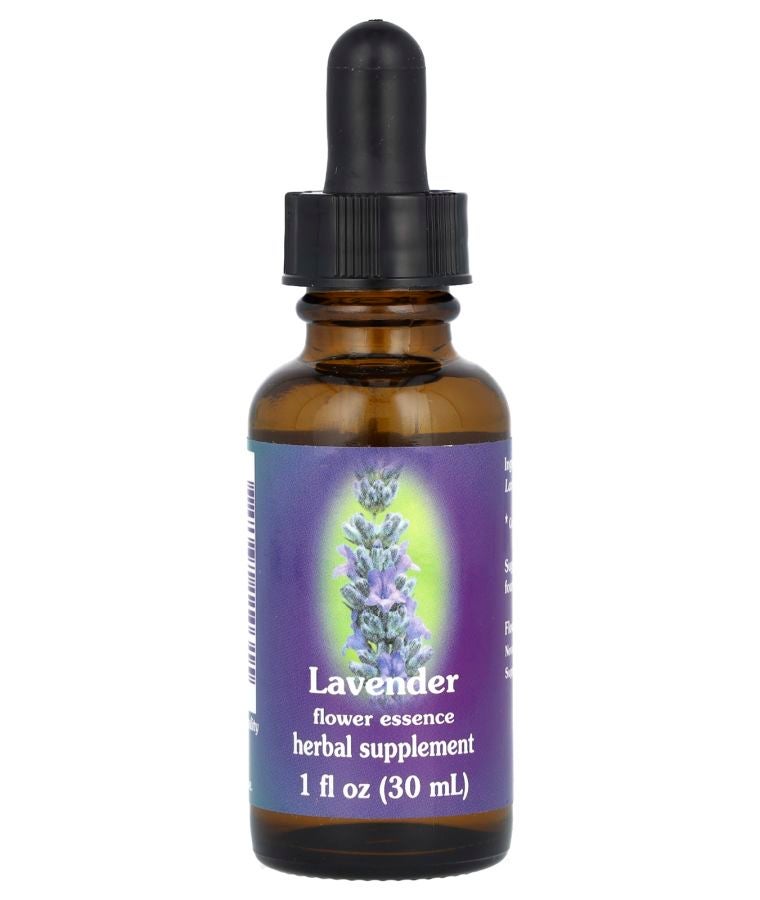 Flower Essence Lavender 1 fl oz (30 ml)