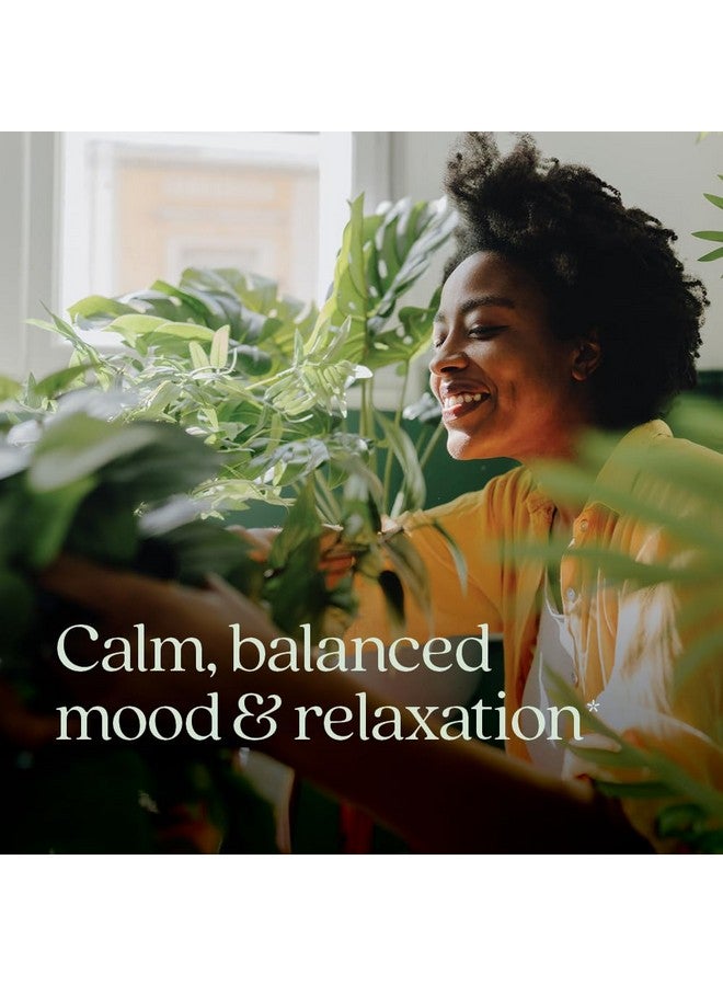 New Chapter فصل جديد من بلسم الليمون مع بلسم الليمون الفائق لدعم المزاج + دعم المناعة + مكونات غير معدلة وراثيًا - 30 كبسولة نباتية - Image 2