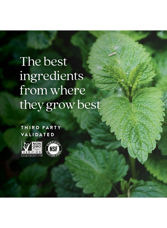 New Chapter فصل جديد من بلسم الليمون مع بلسم الليمون الفائق لدعم المزاج + دعم المناعة + مكونات غير معدلة وراثيًا - 30 كبسولة نباتية - Image 5