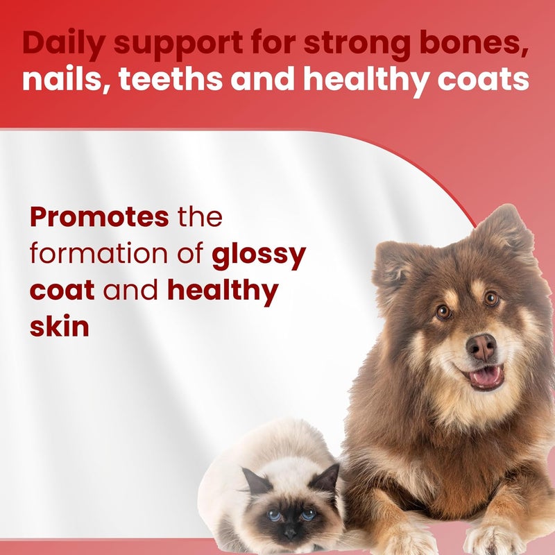 Bio PetActive Cat Chewable Tablets Bone & Teeth Support - 84 Tablets - Image 3