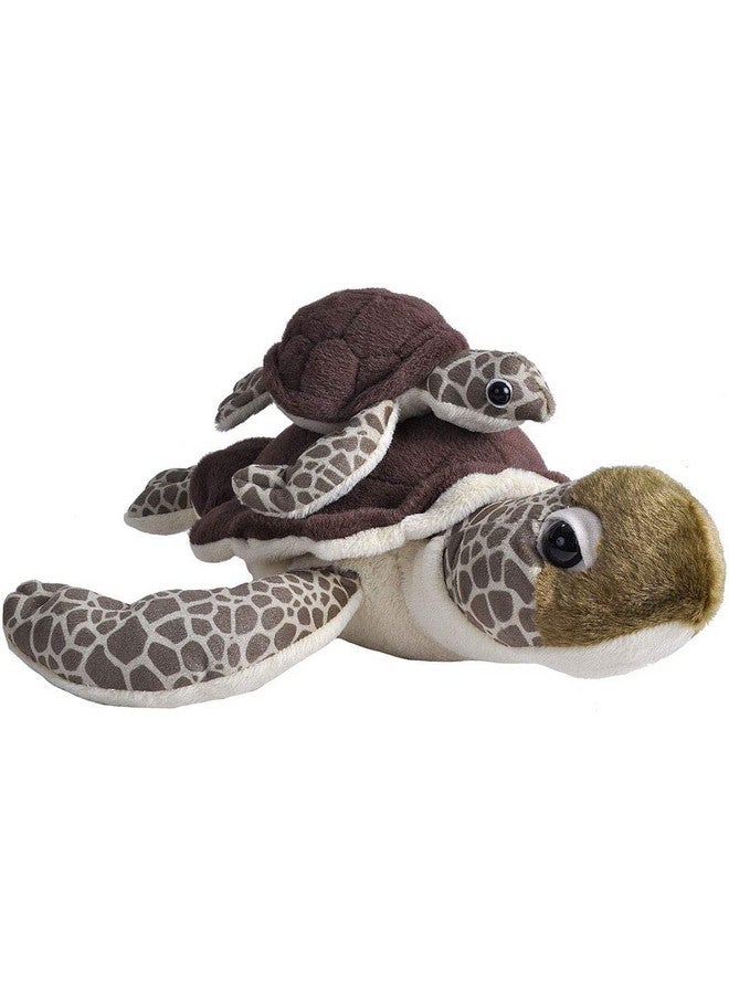 وايلد ريبابليك أم وطفل السلحفاة