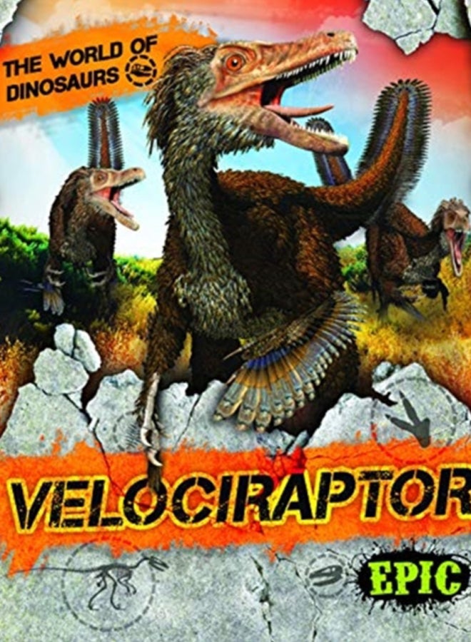 Velociraptor 