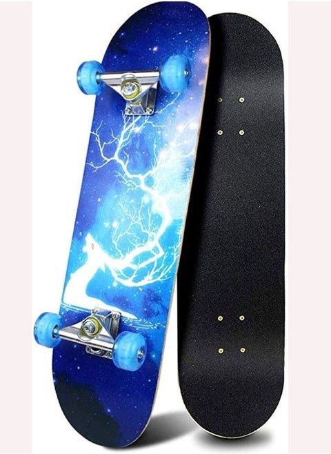 Standard Skateboards With Colorful Flashing Wheels For Beginners