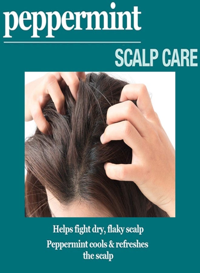 Difeel Peppermint Scalp Care Hair Mask 12oz and Premium Hair Oil 8oz 2-PC Set - Image 4
