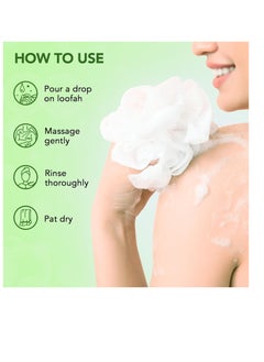 Botanic Hearth Botanic Hearth Tea Tree Body Wash Helps Nail Conditions Athletes Foot Ringworms Jock Itch & Body Odor Soothes Itching & Promotes Healthy Skin and Feet Naturally Scented 16fl oz  - Image 2