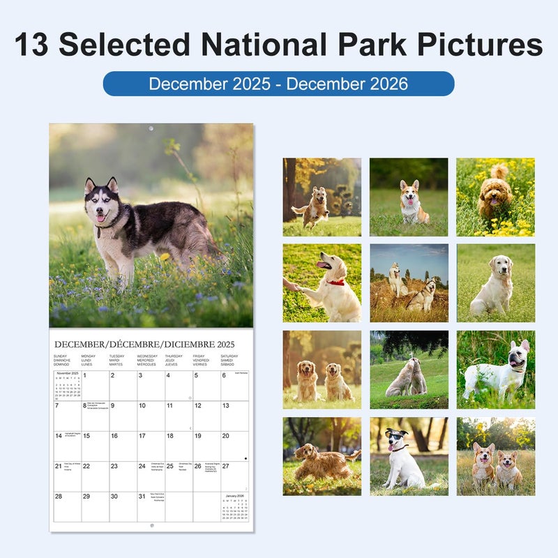 Tuun Fuplan Calendar 2026 - Wall Calendar from January 2026 to December 2026, 3 Languages(English,French,Spanish), 2026 Calendar with Holiday Marked, Premium Paper for Organizing, 12'' x 12'', Dog - Image 2
