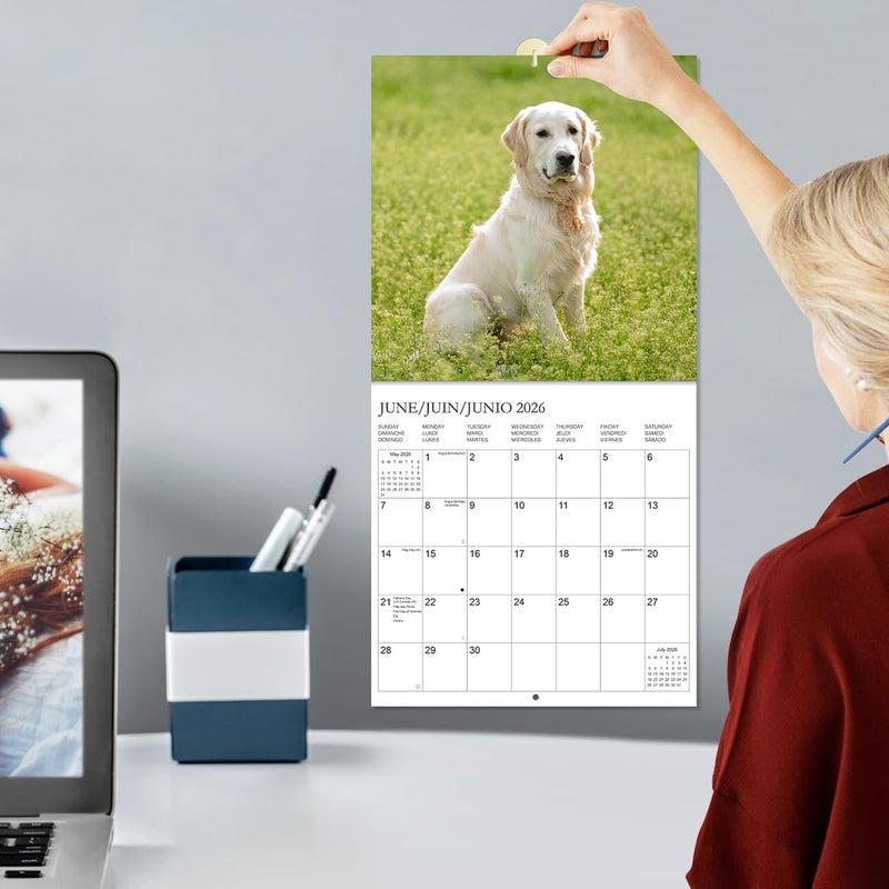 Tuun Fuplan Calendar 2026 - Wall Calendar from January 2026 to December 2026, 3 Languages(English,French,Spanish), 2026 Calendar with Holiday Marked, Premium Paper for Organizing, 12'' x 12'', Dog - Image 5