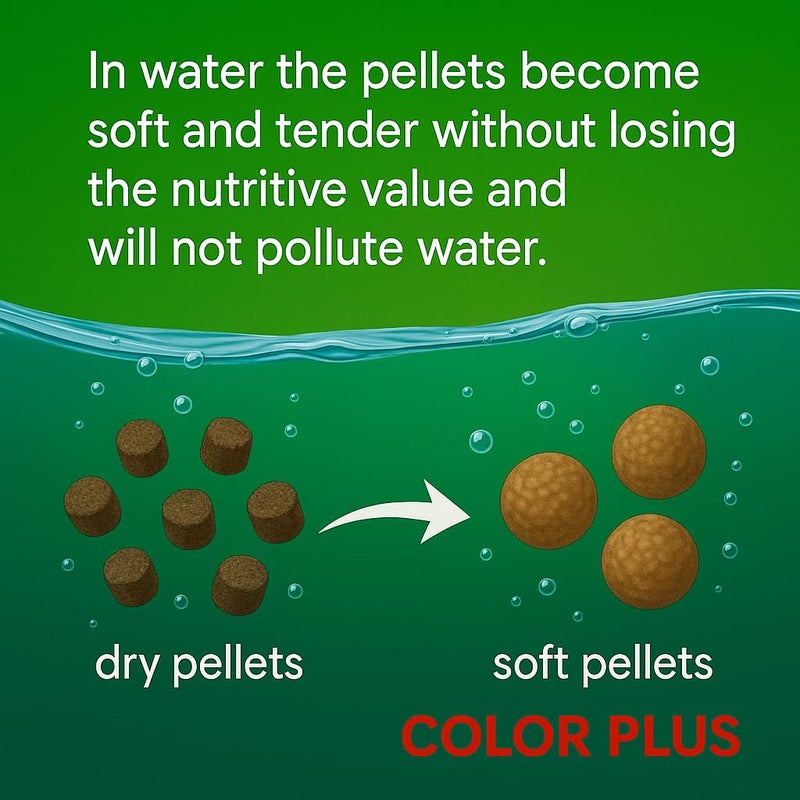 VAYINATO® Aquatic Remedies Gene Eleven Colour Plus Fish Food, 100G | Natural Multi-Color Enhancing Fish Feed by Petzlifeworld - Image 5