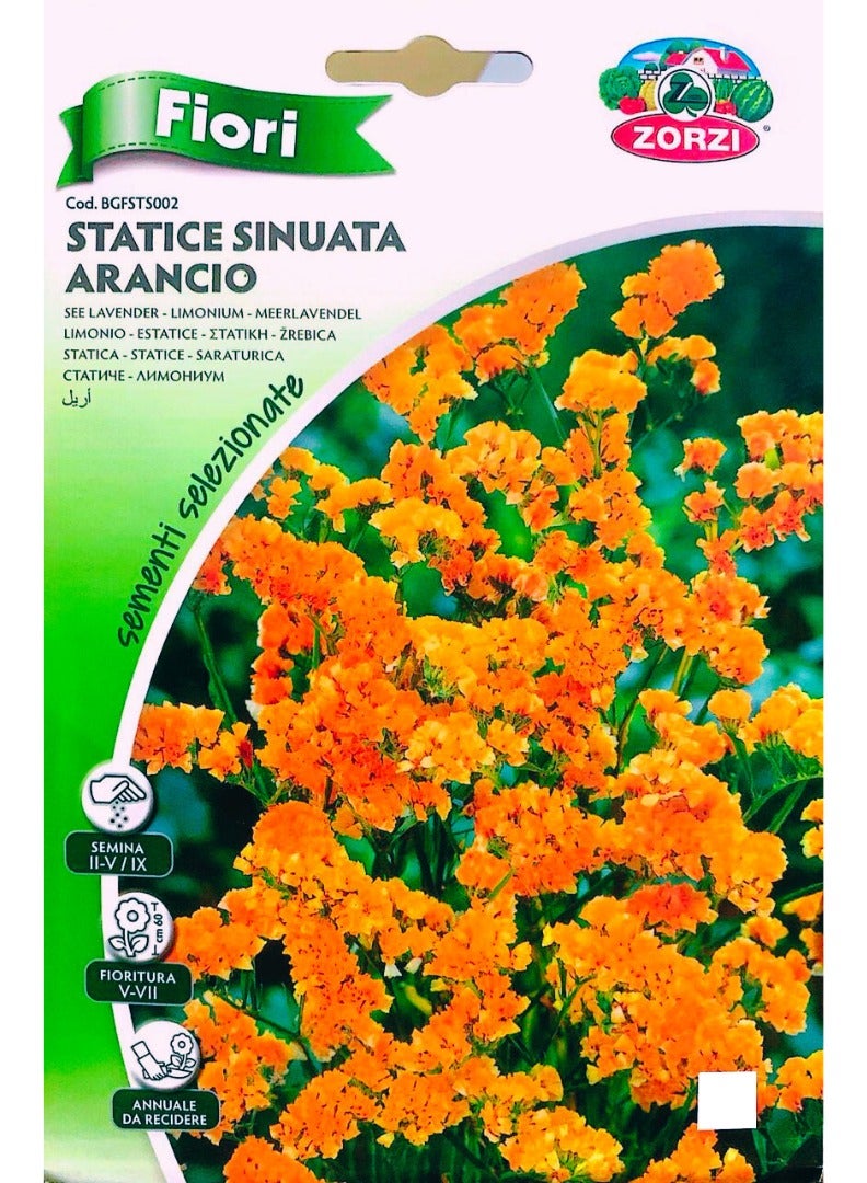 ZORZI Statice SINUATA Orange Seeds
