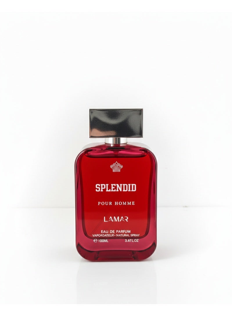 SPLENDID POUR HOMME