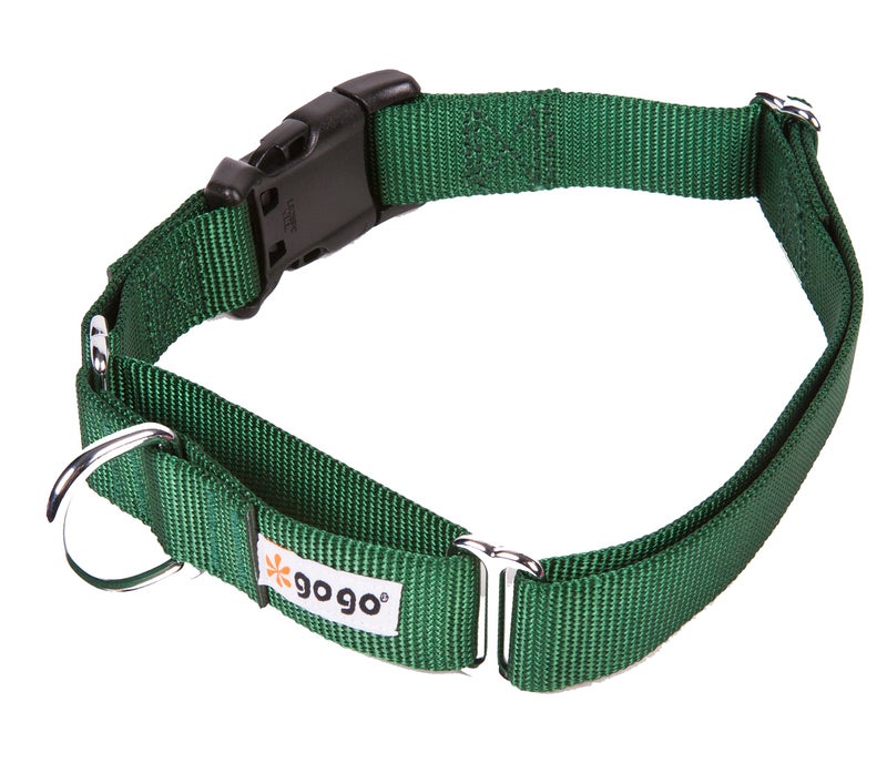 GOGO Pet Products 1Inch Martingale Dog Collar Large Hunter Green - Image 3