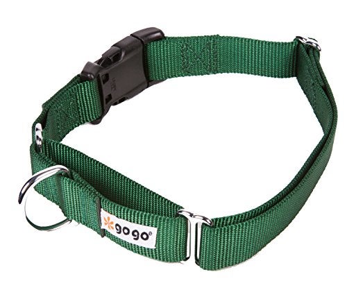 GOGO Pet Products 1Inch Martingale Dog Collar Large Hunter Green - Image 2