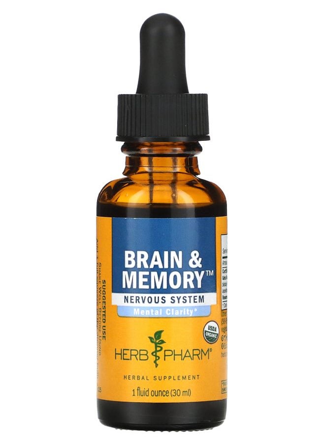 Brain & Memory Nervous System 1 fl oz (30 ml) - pzsku/Z51D790734036B6D51BDAZ/45/_/1730767313/2a511e4a-e30a-4ce1-b37e-197fd2598e44