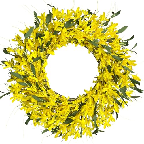 LOKEISNA Yellow forsythia Door Wreath, 24 Inch Summer Wreaths for Front Door Outside, Hand Made Artificial Forsythia Flower Wreath for Front Door Window Wall Farmhouse Home Gift - Image 1