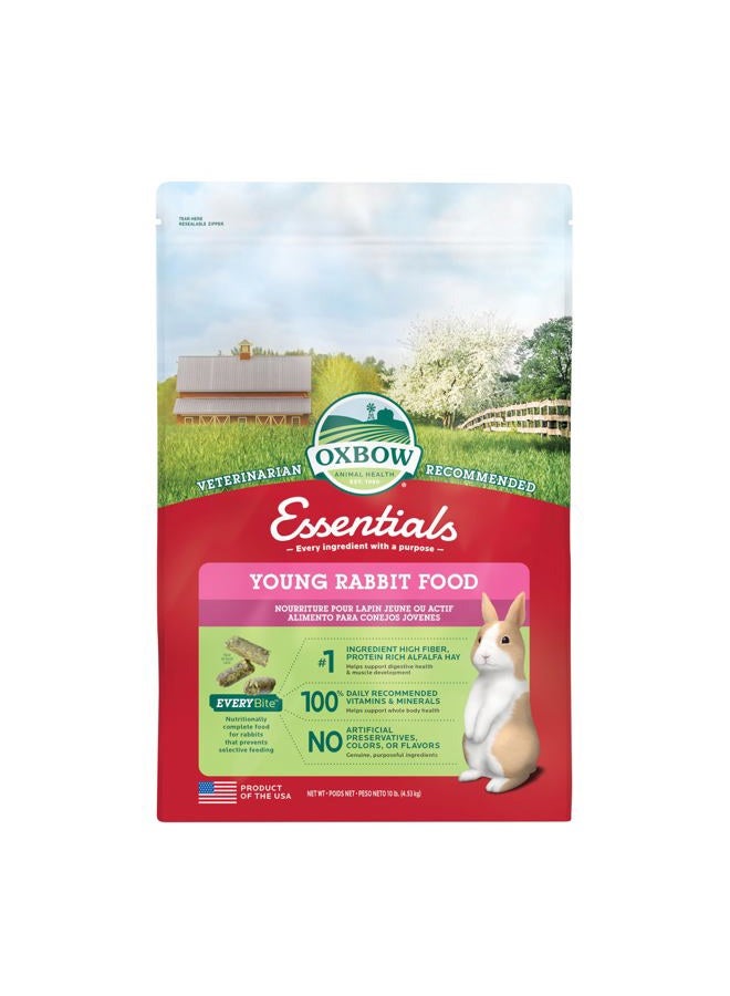 Oxbow أساسيات أوكسبو - طعام الأرانب الصغيرة - البرسيم - Image 1