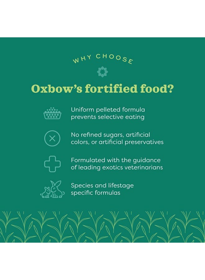 Oxbow أساسيات أوكسبو - طعام الأرانب الصغيرة - البرسيم - Image 3