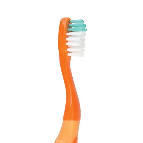 Practicon SmileGoods Y241 Turtle Toothbrush For First Time Brushers, 24 Tuft, Soft Bristle, 72 Individually Packaged Premium Toothbrushes, Assorted Colors Bulk Pack - Image 2
