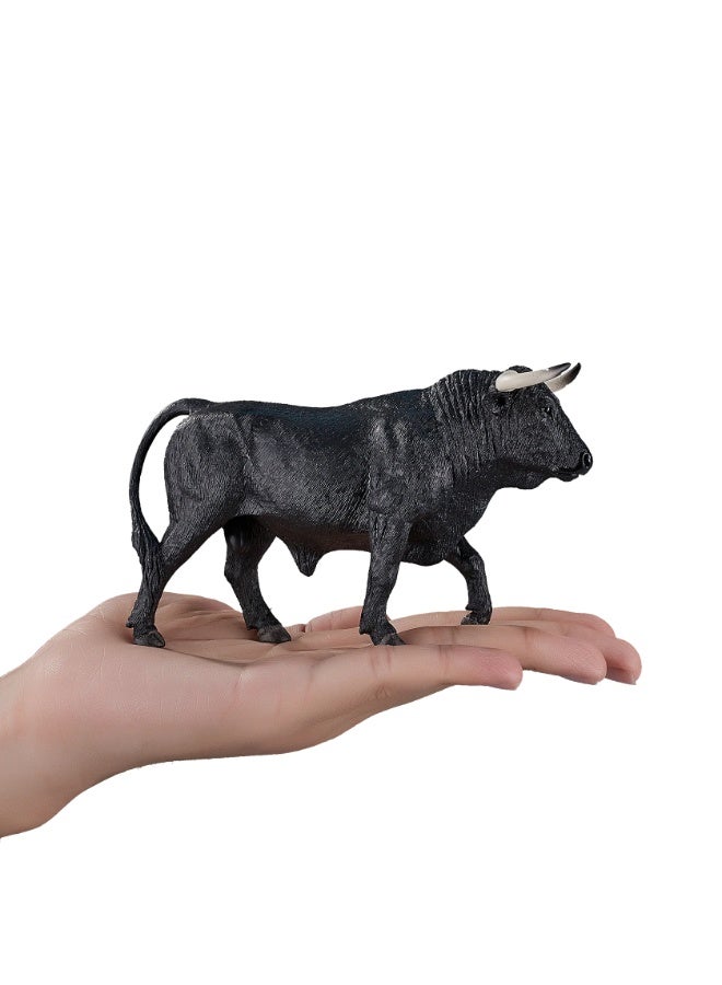 Mojo Spanish BullXL -XL - Image 4