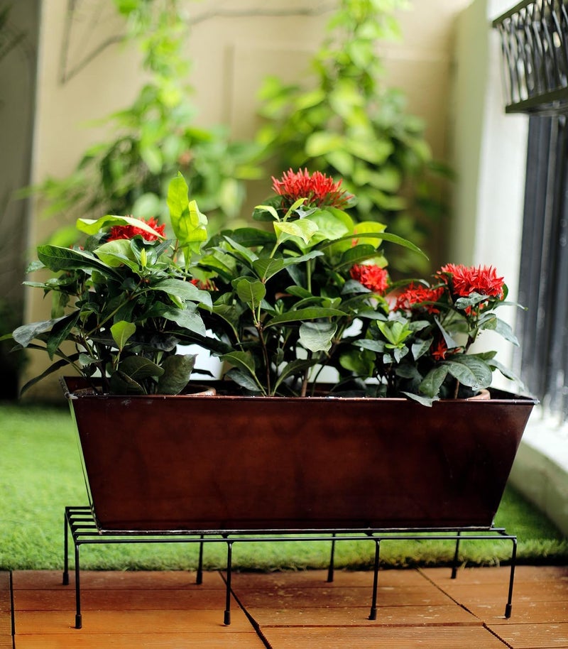 FUNTEREST Planter Stands For Living Room Gamla Stand For Plants Planters For Balcony Indoor & Outdoor Metal for Home & Garden Decorations (Size- 22 Inch, 55X18X10 Cm) (Pack of 2) - Image 3