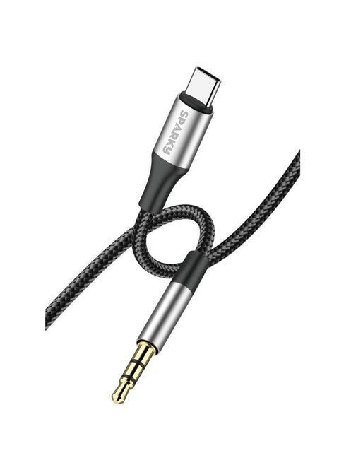 Type C To Aux 3.5mm Cable