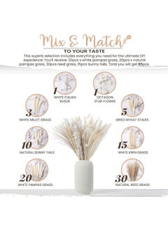 Generic 85 Pcs Dried Pampas Grass Dried Flowers Of Small Reeds Boho Natural Flowers Arrangements White Reed Bunny Tails for Home Decor Flower Living Room Balcony Wedding Party 