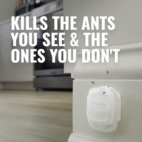 TERRO Indoor Liquid Ant Baits with Adhesive Strips for Discreet Baiting - TERRO Ant Trap and Bait Station - 5 Pack, 20 Baits - T334B - Image 4