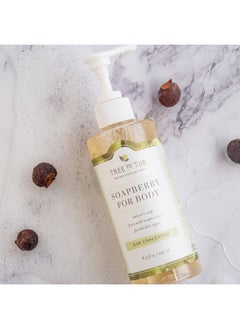 Tree to Tub Tree To Tub, Moisturizing Soapberry Body Wash, Raw Unscented , 8.5 fl oz (250 ml)  - Image 4