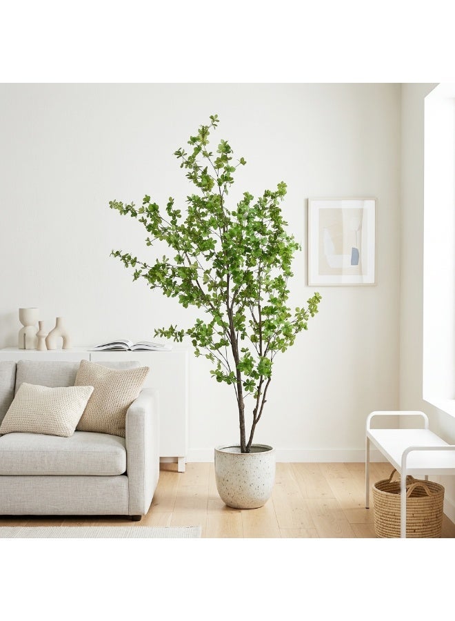 Sharpdo Tall Artificial Green Tree, 180cm Fake Enkianthus Plant with Realistic Foliage, Ideal for Home, Office, Commercial Space and Modern Decor - Image 2