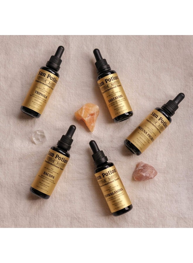 Sun Potion Shatavari Transcendent Elixir: an Ayurvedic Digest + Detox Tonic… - Image 4