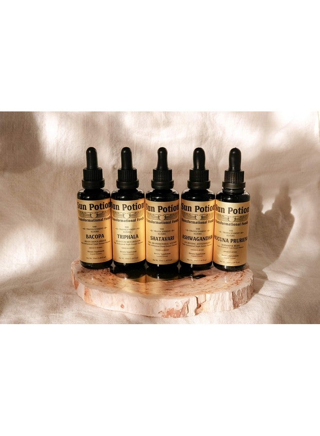 Sun Potion Shatavari Transcendent Elixir: an Ayurvedic Digest + Detox Tonic… - Image 3