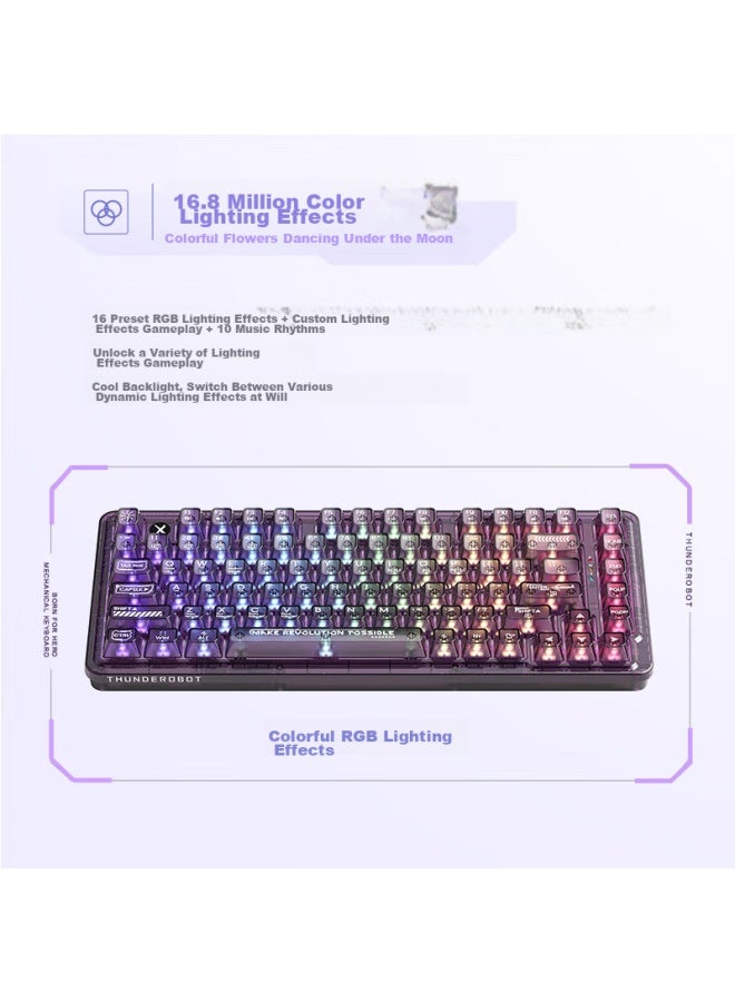 Thunderobot K75 Purple Transparent Tri-mode Wireless Mechanical Keyboard, Bluetooth/wireless/wired, Highly Transparent Customizable Full-key Hot-swappable Gaming Home Office Keyboard, Moon Switch - Image 3