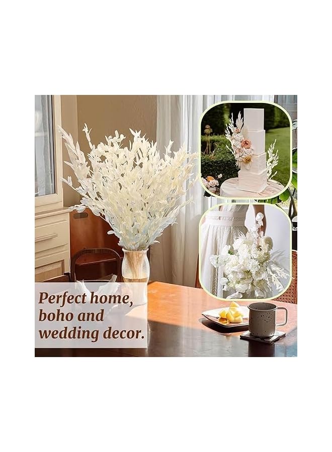 The Bros Dried Ivory White Eucalyptus Italian Ruscus Stems, 15''-17'' Natural Fresh Preserved Bleached Eucalyptus Leaves Bundle, Greenery Creamy Plant, for Home Wedding Boho Party Vase Decor, Arrangement - Image 4