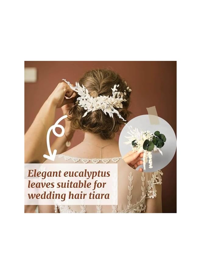 The Bros Dried Ivory White Eucalyptus Italian Ruscus Stems, 15''-17'' Natural Fresh Preserved Bleached Eucalyptus Leaves Bundle, Greenery Creamy Plant, for Home Wedding Boho Party Vase Decor, Arrangement - Image 5