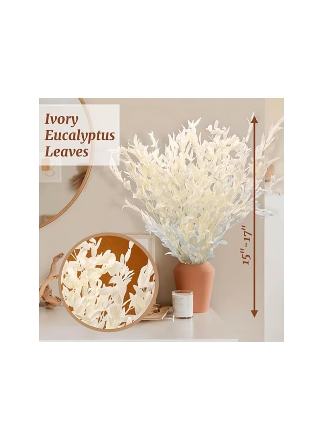 The Bros Dried Ivory White Eucalyptus Italian Ruscus Stems, 15''-17'' Natural Fresh Preserved Bleached Eucalyptus Leaves Bundle, Greenery Creamy Plant, for Home Wedding Boho Party Vase Decor, Arrangement - Image 2
