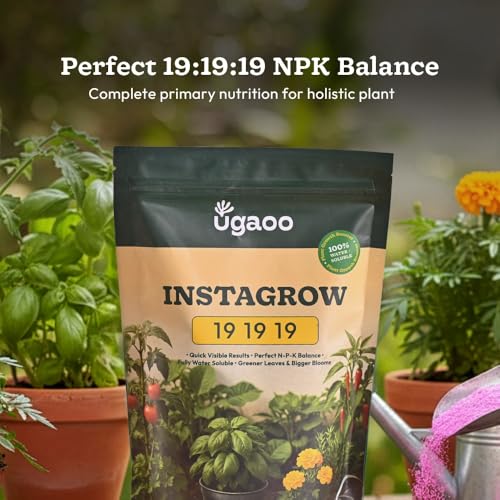 Ugaoo InstaGrow NPK 19:19:19 Fertilizer (500g) | Water-Soluble Plant Food for Growth, Flowering & Fruiting | Balanced NPK for Indoor & Outdoor Plants - Image 4