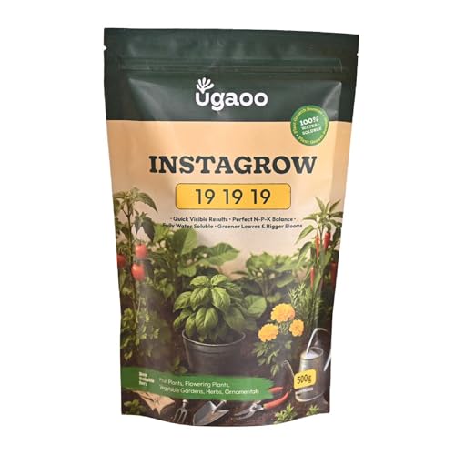 Ugaoo InstaGrow NPK 19:19:19 Fertilizer (500g) | Water-Soluble Plant Food for Growth, Flowering & Fruiting | Balanced NPK for Indoor & Outdoor Plants - Image 1