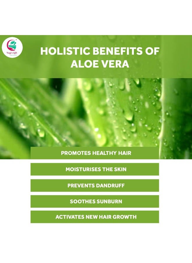 YOGI'S GIFT – Celebrating health Aloe Vera Powder 8 oz | Moisturizing Face Mask Ingredient For Dry Skin | Hair Mask Ingredient for Hair Growth | Made from Pure & Cultivated Aloevera | by Yogi's Gift®  - Image 5