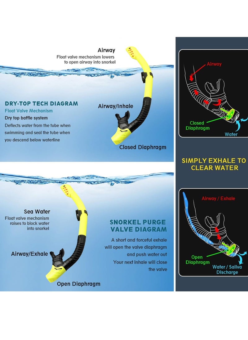 Adando - Adando Diving Snorkeling Face Mask Set - Face Mask With Dry Breathing System With Fins & Snorkel - Food Grade Silicone Diving Goggles - Anti Fog Leakproof Diving Equipment for Adults Teens - Image 1