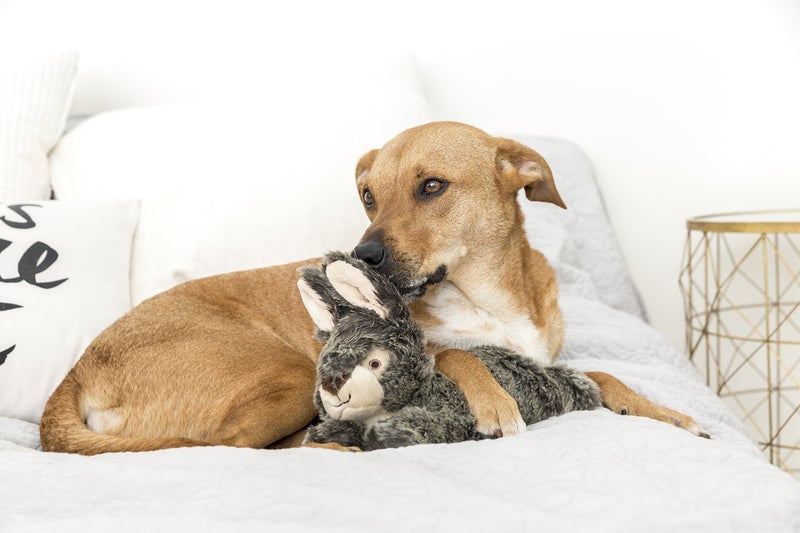 Fluff & Tuff – Walter Wabbit Plush Dog Toy - Image 2