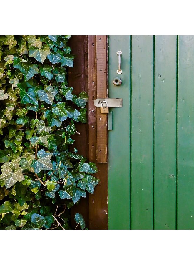 Door Locks Hasp Latch,Stainless Steel Surety Packlock Clasp Hasp Lock Latch, Extra Thick Gate Lock Hasp with Screws Brushed Finish 2 Pack(4INCH) - Image 5